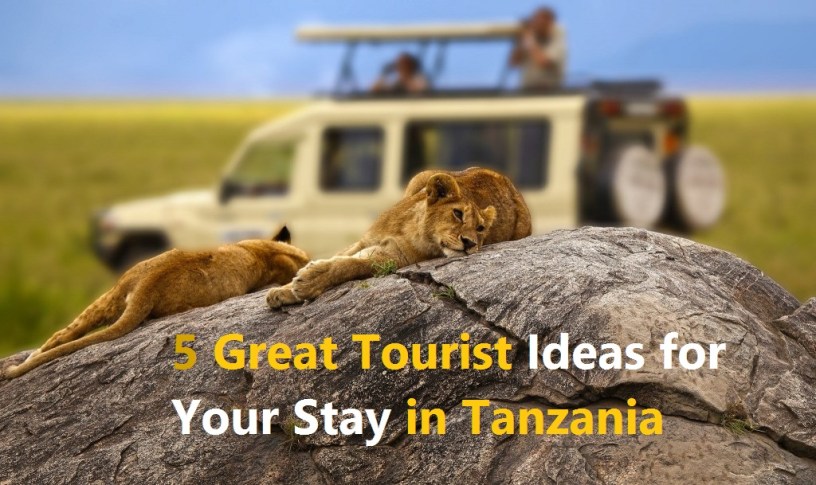 5 Great Tourist Ideas for Your Stay in Tanzania