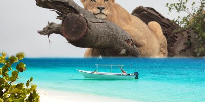 Why Tanzania is the Best Safari Destination